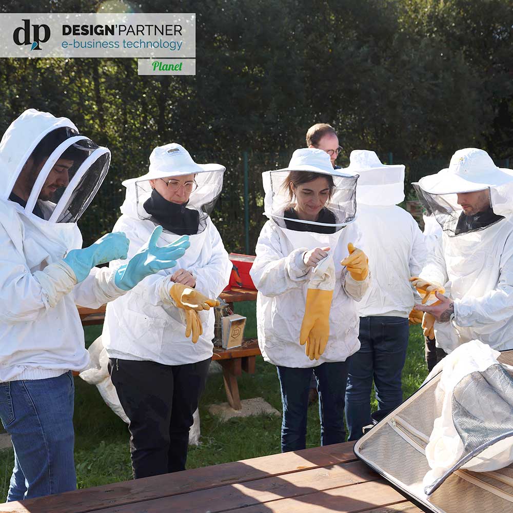Découverte ruches Design'Partner